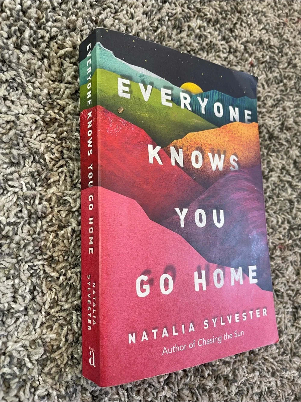 Paperback book: Everyone knows you go home by Natalie Sylvester